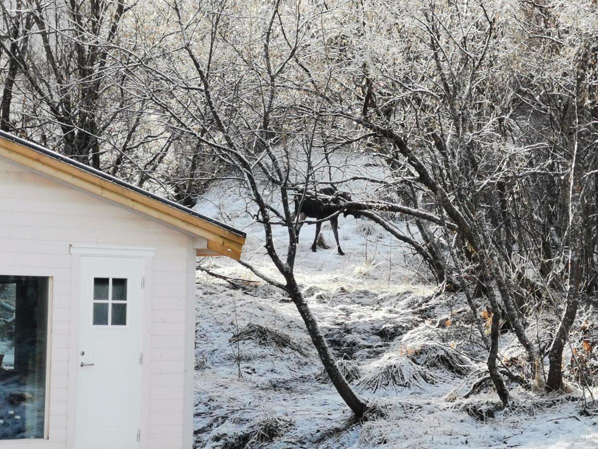 Relaxing Cabin Villa Gravdal  Exterior photo